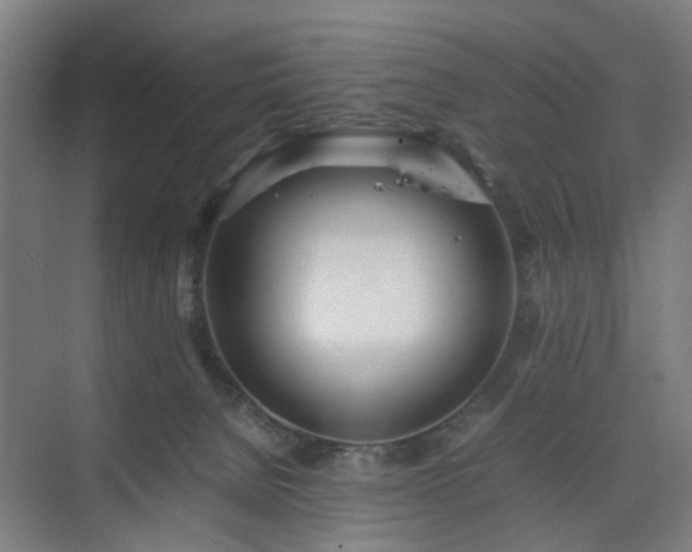 X0000074950080200609011131