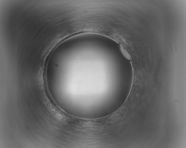 X0000074950098200609011131