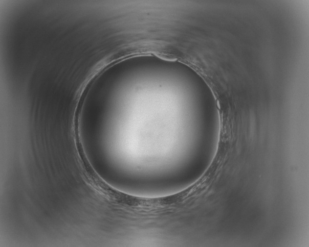 X0000074950099200609011131
