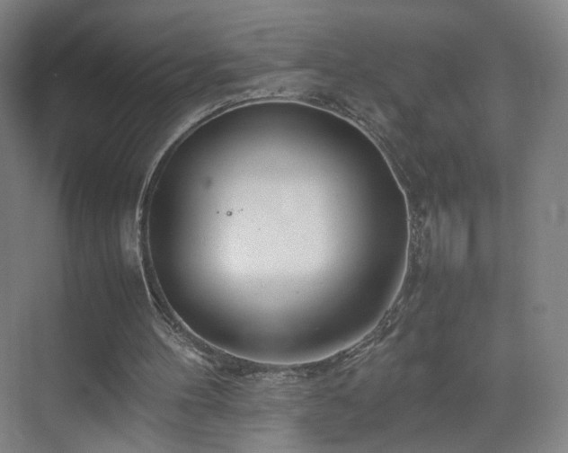 X0000074950100200609011131