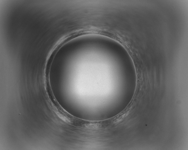 X0000074950102200609011131