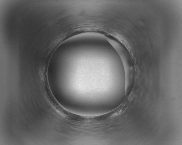 X0000074950105200609011131