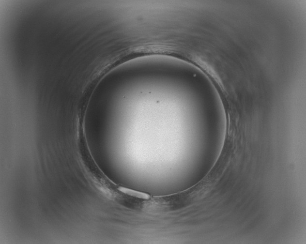 X0000074950109200609011131