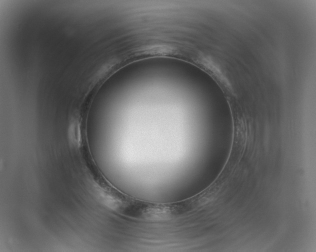 X0000074950110200609011131