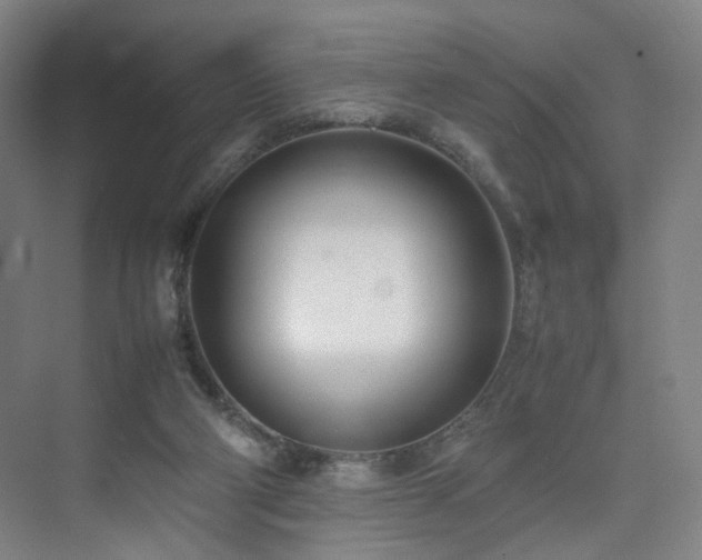 X0000074950114200609011131