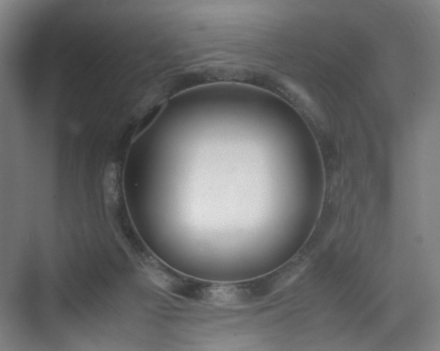 X0000074950121200609011130
