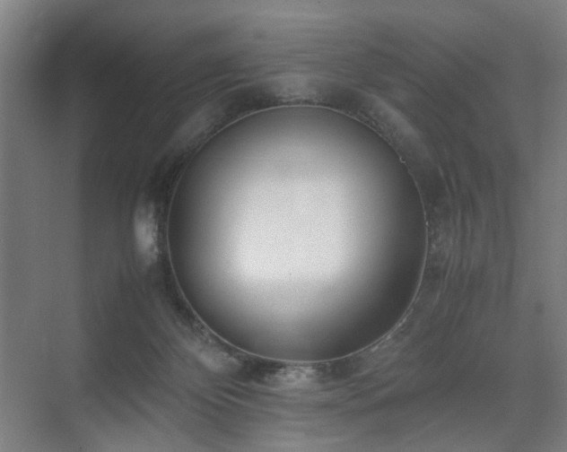 X0000074950124200609011130