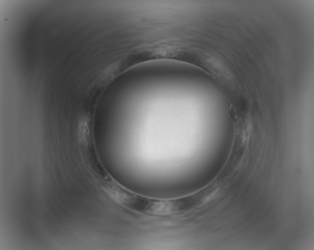 X0000074950127200609011130