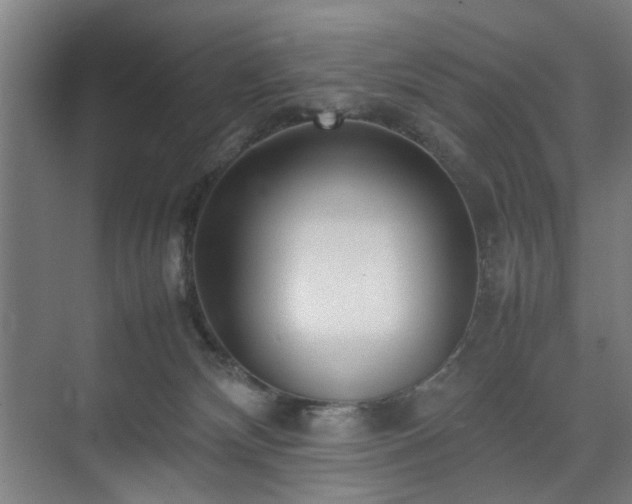 X0000074950132200609011130