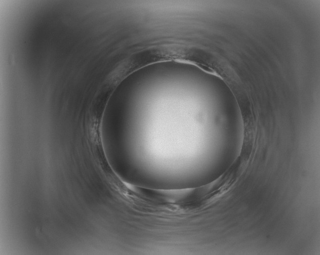 X0000074950141200609011130