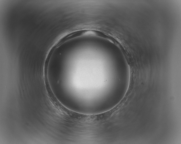 X0000074950148200609011129