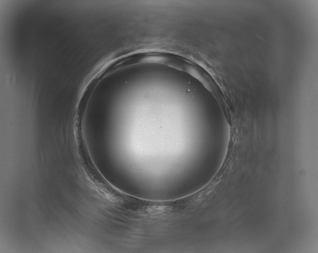 X0000074950152200609011129