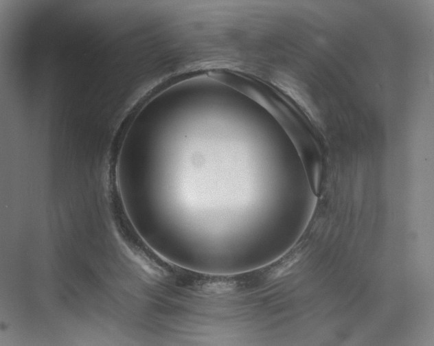 X0000074950156200609011129