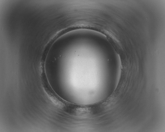 X0000074950160200609011129