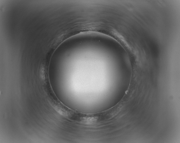 X0000074950161200609011129