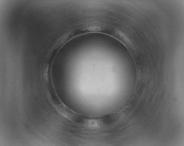 X0000074950163200609011130