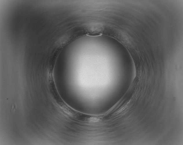 X0000074950176200609011130
