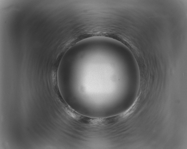 X0000074950192200609011130