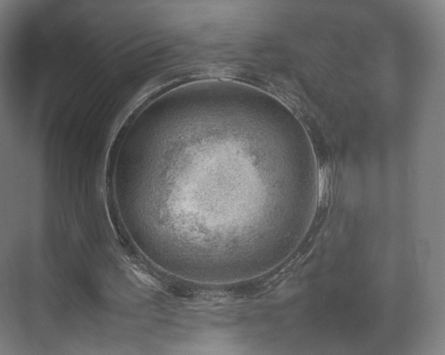 X0000074950195200609011129