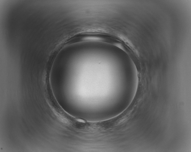 X0000074950201200609011129