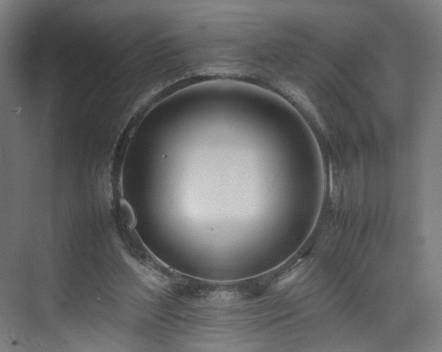 X0000074950204200609011129