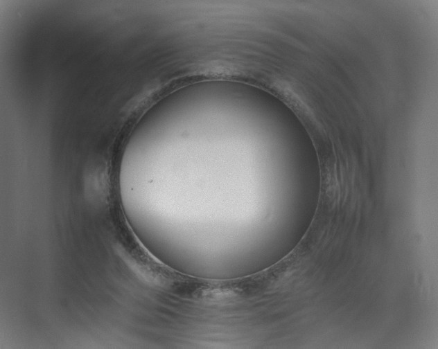 X0000074950208200609011129