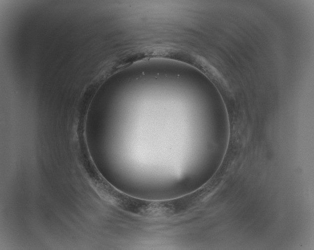 X0000074950209200609011129