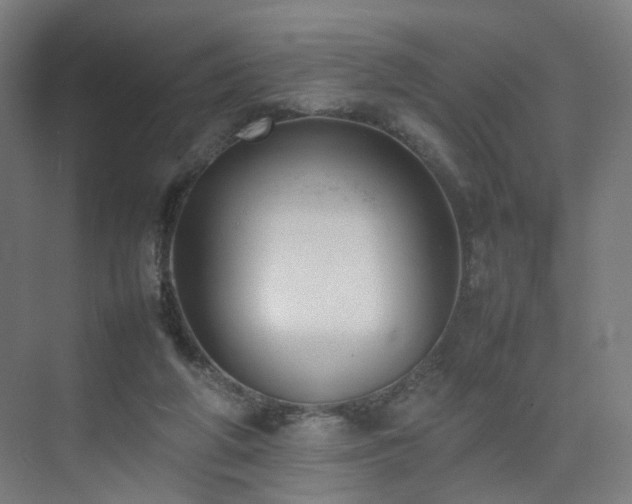 X0000074950210200609011129
