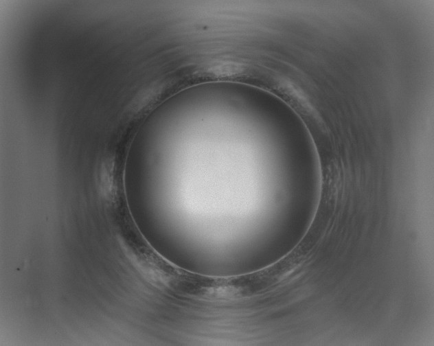 X0000074950212200609011129
