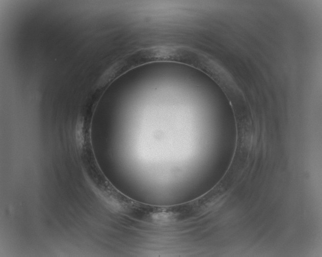 X0000074950216200609011129
