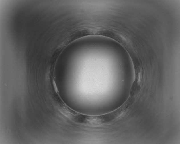 X0000074950221200609011129