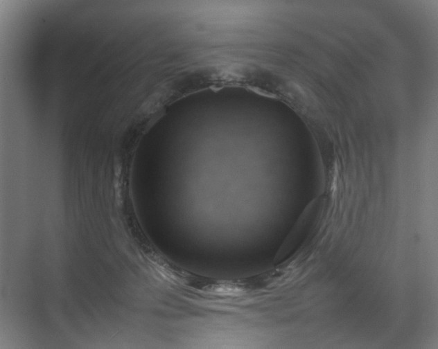 X0000074950223200609011129
