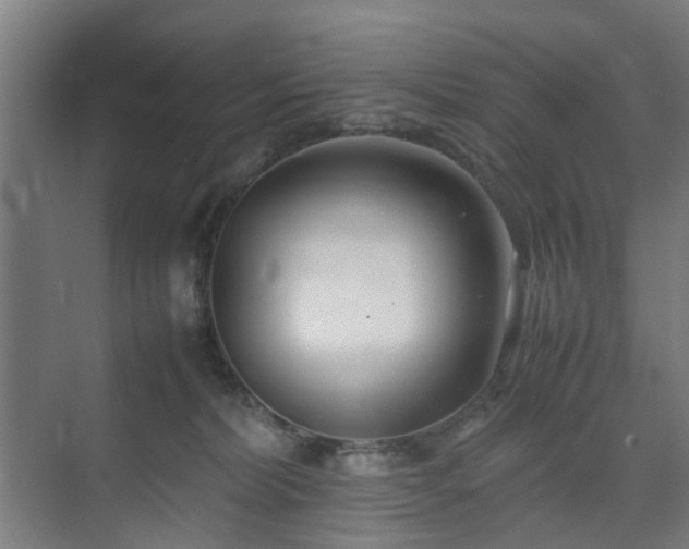 X0000074950228200609011129