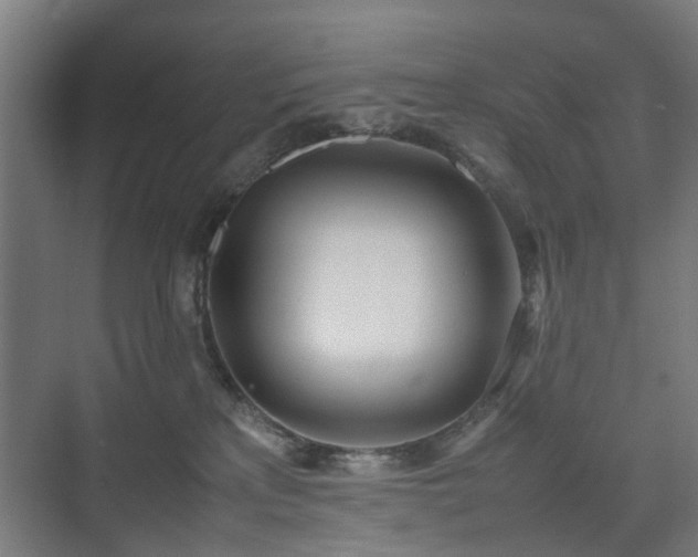 X0000074950233200609011129