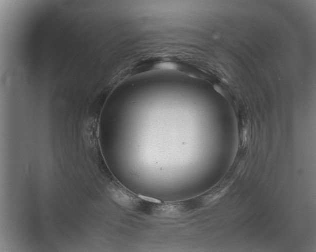 X0000074950237200609011128