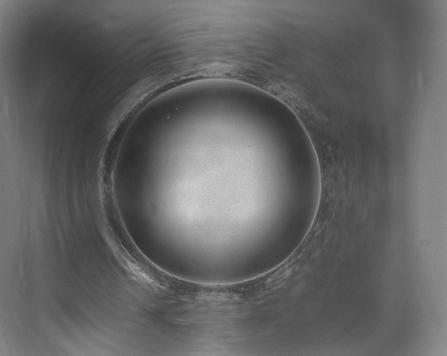 X0000074950242200609011128