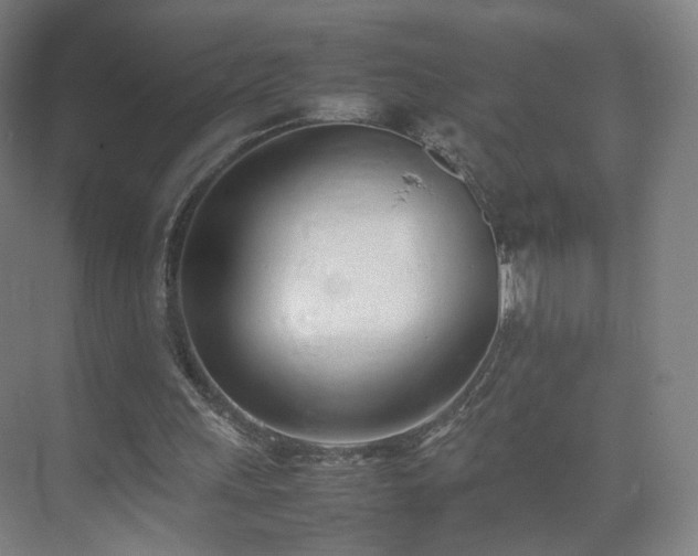 X0000074950243200609011128