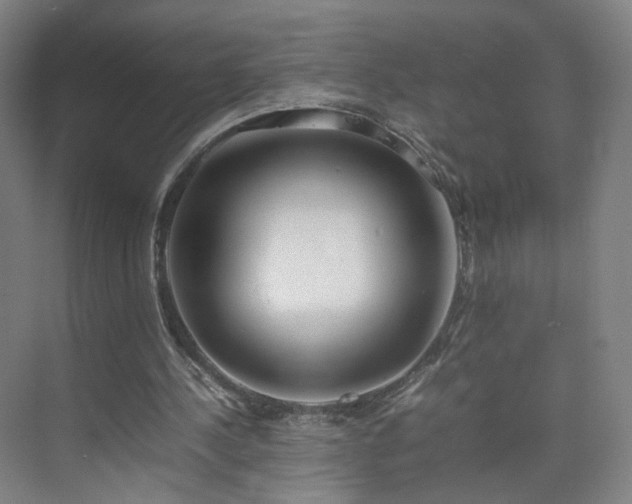 X0000074950244200609011128