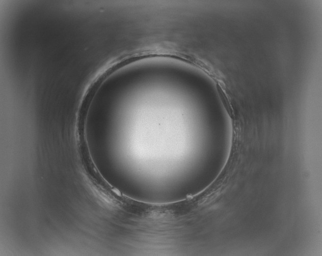 X0000074950248200609011128