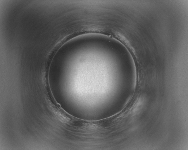 X0000074950249200609011128