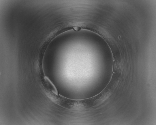 X0000074950256200609011128