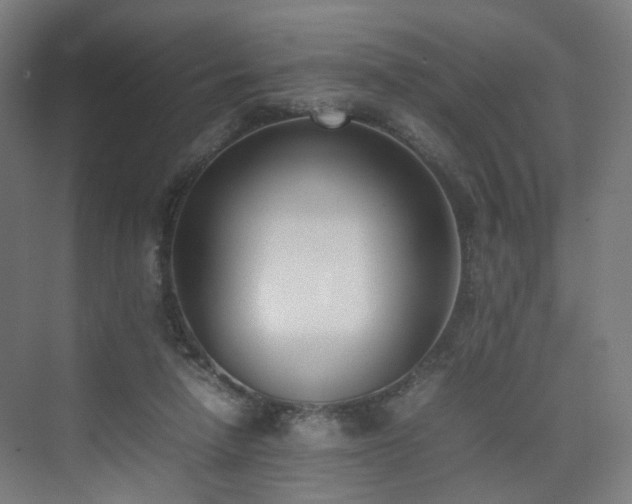X0000074950258200609011128