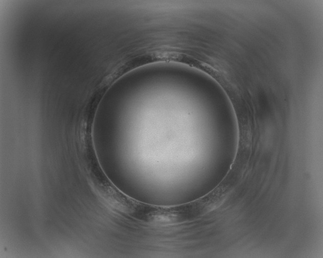 X0000074950263200609011128