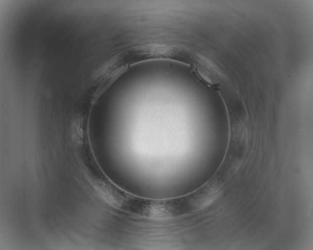 X0000074950264200609011128