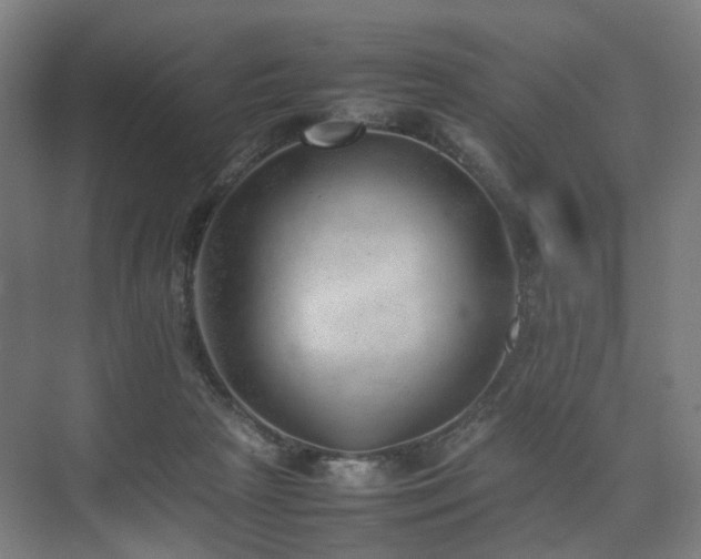 X0000074950265200609011128