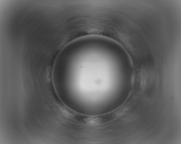 X0000074950273200609011128