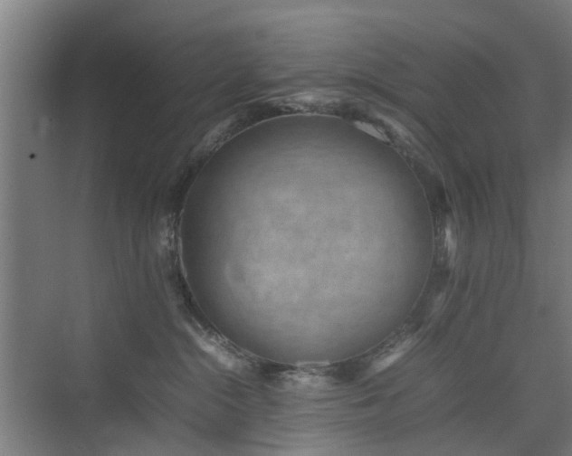 X0000074950284200609011128