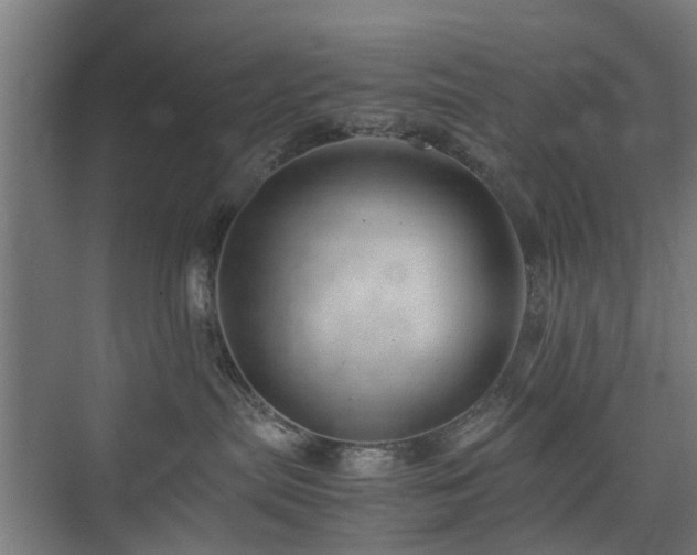 X0000074950287200609011128