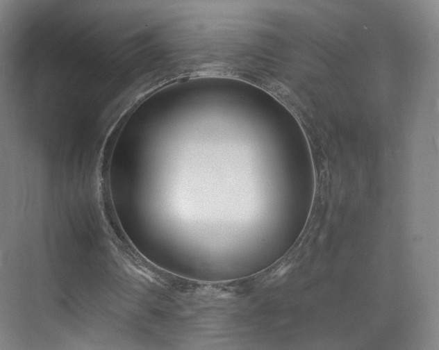 X0000074950290200609011128