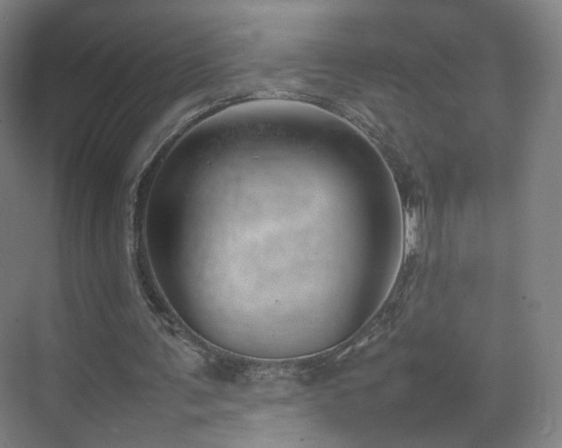 X0000074950291200609011128